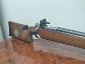 Swedish Mauser